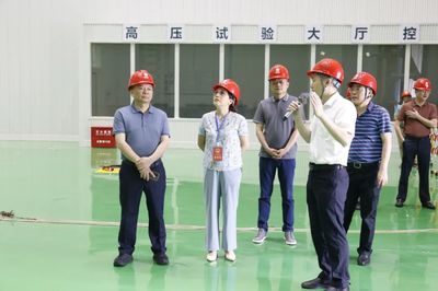 走項目、進工地、察實情——區人大常委會視察全區重點項目建設工作，關注智能家電產業新動能